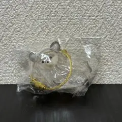 チワワ　黒　うちの子のけだまだま　いぬの毛玉