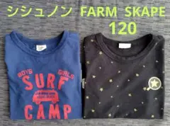 シシュノン FARM SKAPE キッズ Tシャツ 2枚セット 120cmのサムネイル