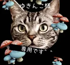 ゆきんこ様 専用