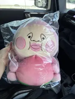 こびとづかん一番くじ　A賞カクレモモジリぬいぐるみのサムネイル