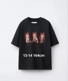 ZARA JENNIE RUBY ウォッシュドTシャツ　13-14 164cmのサムネイル