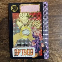 ドラゴンボール カードダスめちゃんこプロジェクト2000枚限定 No.5 孫