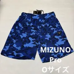 Item thumbnail for item 1d05b84e-11d4-4fcd-b44a-8fd26e4992de