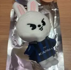 straykids KARMA skzoover. ぬい Leebit