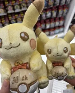 【本日中発送】30周年記念 ピカチュウ マスコット&ぬいぐるみ セット