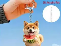 柴犬 スイカ 2Dアクリルキーホルダー