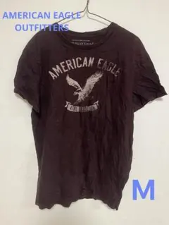 AMERICAN EAGLE OUTFITTERS Tシャツ 【Ꮇ】 パープル