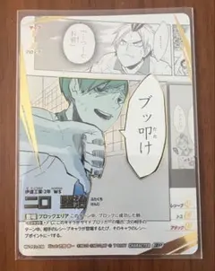 い*く様 ハイキュー　バボカ　二口堅治　頂P