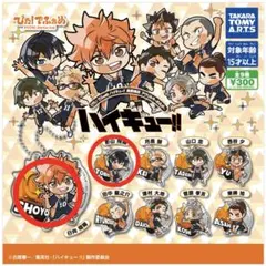 ぴた！でふぉめ　ハイキュー！！　日向翔陽・影山飛雄