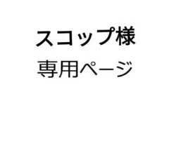 スコップ様 リクエスト 2点 まとめ商品