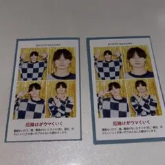 おびび様 リクエスト 2点 まとめ商品