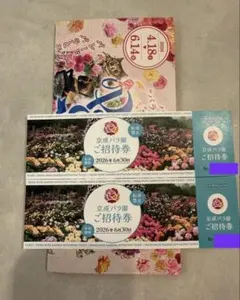 京成バラ園 招待券 2枚 2026年6月30日までのサムネイル