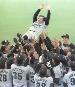 星野監督胴上げ　阪神タイガース　パネル＋星野監督名刺 阪神優勝、過去の胴上げ写真。星野監督、岡田監督、吉田監督、藤本監督