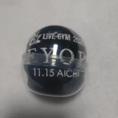 B’z LIVE-GYM 2025 FYOP AICHI11.15 リストバンド