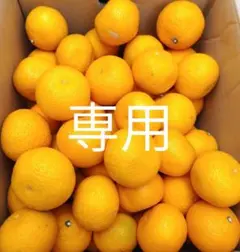 スシ様専用ページで。