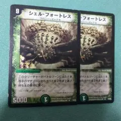 シェルフォートレス