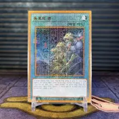 2025年最新】遊戯王 韓国 1stの人気アイテム - メルカリ