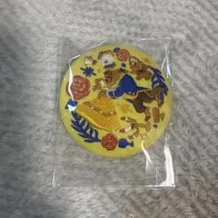 ディズニー　刺繍缶バッジ2 美女と野獣　Disney
