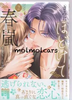 きみにほどけて春嵐(2)
