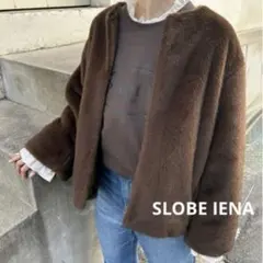 【新品タグ付き】SLOBE IENA Mink Fake fur Coatのサムネイル