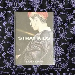 straykids IN生 ミニフォトブック バンチャン