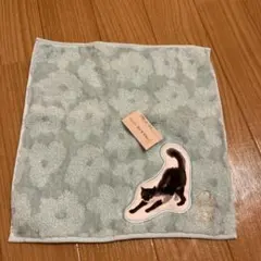 PAUL&JOE ポール&ジョー　猫　ハンカチ