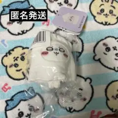 【新品未開封】たこイカくじ　モモンガ