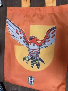 Nike EQUIPO DEL FUEGO 記念カード サッカー - メルカリ