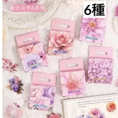 5o-5 ／コラージュ素材　シール　ステッカー　セット　まとめ売り