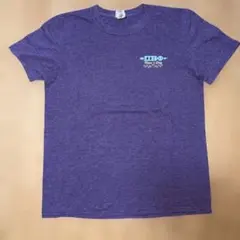 GILDAN Pi Beta Phi Tシャツ パープルM