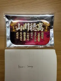 福岡ソフトバンクホークス 祝成人 長方形 応援歌 缶バッジ 山川穂高