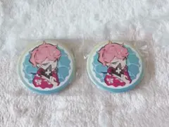 Crazy raccoon CRフェス2025 ふらんしすこ 缶バッジ