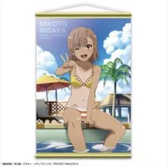 新品未開封 御坂美琴 抱き枕カバー とある科学の超電磁砲S 水着