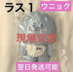 SUPER JUNIOR ウニョク ぬいぐるみ キーリング SUPER JUNIOR SJ MARKET 10cm キーリング ウニョク - メルカリ