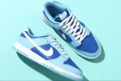 NIKE DUNK LOW 26.5cm Argon ダンクDM0121-400