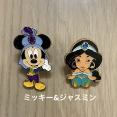 非売品 ディズニーシー ピンバッジ ミッキー&ジャスミン 2点セット
