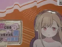 2026年最新】槻木こうすけの人気アイテム - メルカリ
