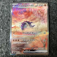 イダイナキバex SAR
