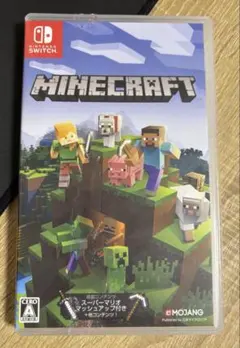 Minecraft マイクラフト　Switch