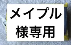 Item thumbnail for item bdd6a525-5b77-4e69-a449-231ffa35b8a1