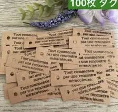 アンティーク ドライフラワー ナチュラル タグ 紙モノ リメ缶　№104B