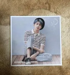 2026年最新】ウォヌ 舞い落ちる花びらの人気アイテム - メルカリ