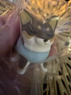 ちわわぐらし カプセルトイ