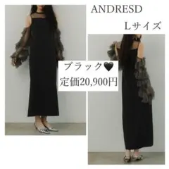 定価2万円✨️ANDRESD ディタッチドスリーブドレス ブラック L 人気ドレス