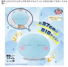 よっけぶらんか様 リクエスト 2点 まとめ商品