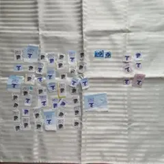 グーンポイント174ポイント