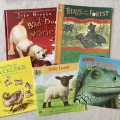可愛い動物 英語絵本5冊 おうち英語 英語多読 読み聞かせ ヴィンテージ絵本