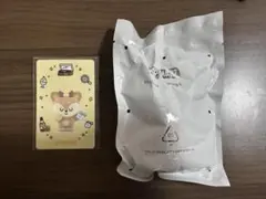 SEVENTEEN MINITEEN SHUASUMI ジョシュア