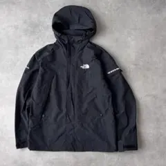 20074 THE NORTH FACE 刺繍ロゴ マウンテンパーカー