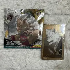 ヒロアカ 原画展 口田甲司 コレクション 缶バッジ EXTREME 箔押しカード